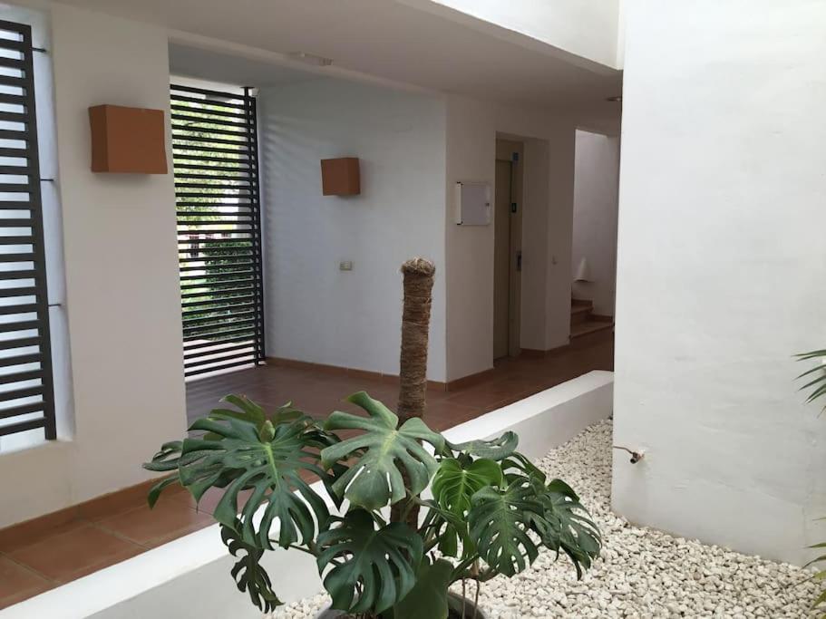 Alcazaba Blue Lagoon 3 Bedroom, Ground Floor Apartment Estepona